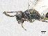  ( - SMNS_39060)  @11 [ ] CreativeCommons  Attribution Share-Alike (by-sa) (2020) State Museum of Natural History Stuttgart State Museum of Natural History Stuttgart