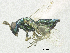  ( - SMNS_39353)  @11 [ ] CreativeCommons  Attribution Share-Alike (by-sa) (2020) State Museum of Natural History Stuttgart State Museum of Natural History Stuttgart