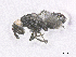  ( - SMNS_39828)  @11 [ ] CreativeCommons  Attribution Share-Alike (by-sa) (2020) State Museum of Natural History Stuttgart State Museum of Natural History Stuttgart