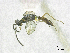  ( - SMNS_39908)  @11 [ ] CreativeCommons  Attribution Share-Alike (by-sa) (2020) State Museum of Natural History Stuttgart State Museum of Natural History Stuttgart