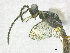  ( - SMNS_39908)  @11 [ ] CreativeCommons  Attribution Share-Alike (by-sa) (2020) State Museum of Natural History Stuttgart State Museum of Natural History Stuttgart