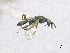  ( - SMNS_40088)  @11 [ ] CreativeCommons  Attribution Share-Alike (by-sa) (2020) State Museum of Natural History Stuttgart State Museum of Natural History Stuttgart