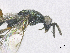  ( - SMNS_40088)  @11 [ ] CreativeCommons  Attribution Share-Alike (by-sa) (2020) State Museum of Natural History Stuttgart State Museum of Natural History Stuttgart