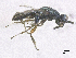  ( - SMNS_40102)  @11 [ ] CreativeCommons  Attribution Share-Alike (by-sa) (2020) State Museum of Natural History Stuttgart State Museum of Natural History Stuttgart