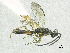  ( - SMNS_40116)  @11 [ ] CreativeCommons  Attribution Share-Alike (by-sa) (2020) State Museum of Natural History Stuttgart State Museum of Natural History Stuttgart