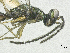  ( - SMNS_40116)  @11 [ ] CreativeCommons  Attribution Share-Alike (by-sa) (2020) State Museum of Natural History Stuttgart State Museum of Natural History Stuttgart