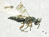  ( - SMNS_40117)  @11 [ ] CreativeCommons  Attribution Share-Alike (by-sa) (2020) State Museum of Natural History Stuttgart State Museum of Natural History Stuttgart