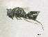  ( - SMNS_40417)  @11 [ ] CreativeCommons  Attribution Share-Alike (by-sa) (2020) State Museum of Natural History Stuttgart State Museum of Natural History Stuttgart