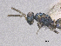  ( - SMNS_41027)  @11 [ ] CreativeCommons  Attribution Share-Alike (by-sa) (2020) State Museum of Natural History Stuttgart State Museum of Natural History Stuttgart