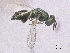  ( - SMNS_41717)  @11 [ ] CreativeCommons  Attribution Share-Alike (by-sa) (2020) State Museum of Natural History Stuttgart State Museum of Natural History Stuttgart
