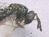  ( - SMNS_41726)  @11 [ ] CreativeCommons  Attribution Share-Alike (by-sa) (2020) State Museum of Natural History Stuttgart State Museum of Natural History Stuttgart