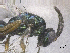  ( - SMNS_41830)  @11 [ ] CreativeCommons  Attribution Share-Alike (by-sa) (2020) State Museum of Natural History Stuttgart State Museum of Natural History Stuttgart