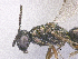  ( - SMNS_41835)  @11 [ ] CreativeCommons  Attribution Share-Alike (by-sa) (2020) State Museum of Natural History Stuttgart State Museum of Natural History Stuttgart