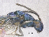  ( - SMNS_41863)  @11 [ ] CreativeCommons  Attribution Share-Alike (by-sa) (2020) State Museum of Natural History Stuttgart State Museum of Natural History Stuttgart