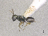  ( - SMNS_41864)  @11 [ ] CreativeCommons  Attribution Share-Alike (by-sa) (2020) State Museum of Natural History Stuttgart State Museum of Natural History Stuttgart