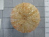  ( - SeaMP_SB126)  @11 [ ] Unspecified (default): All Rights Reserved (2022) Unspecified Unspecified