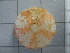  ( - SeaMP_SB127)  @11 [ ] Unspecified (default): All Rights Reserved (2022) Unspecified Unspecified