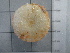  ( - SeaMP_SB127)  @11 [ ] Unspecified (default): All Rights Reserved (2022) Unspecified Unspecified