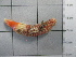  ( - SeaMP_SB130)  @11 [ ] Unspecified (default): All Rights Reserved (2022) Unspecified Unspecified