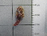  ( - SeaMP_SB143)  @11 [ ] Unspecified (default): All Rights Reserved (2022) Unspecified Unspecified