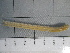  ( - SeaMP_SB157)  @11 [ ] Unspecified (default): All Rights Reserved (2022) Unspecified Unspecified