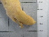  ( - SeaMP_SB169)  @11 [ ] Unspecified (default): All Rights Reserved (2022) Unspecified Unspecified