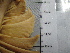  ( - SeaMP_SB171)  @11 [ ] Unspecified (default): All Rights Reserved (2022) Unspecified Unspecified