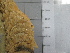  ( - SeaMP_SB173)  @11 [ ] Unspecified (default): All Rights Reserved (2022) Unspecified Unspecified