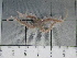  ( - SeaMP_SB185)  @11 [ ] Unspecified (default): All Rights Reserved (2022) Unspecified Unspecified