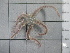  ( - SeaMP_SB186)  @11 [ ] Unspecified (default): All Rights Reserved (2022) Unspecified Unspecified