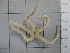  ( - SeaMP_SB186)  @11 [ ] Unspecified (default): All Rights Reserved (2022) Unspecified Unspecified