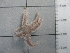  ( - SeaMP_SB188)  @11 [ ] Unspecified (default): All Rights Reserved (2022) Unspecified Unspecified