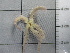  ( - SeaMP_SB188)  @11 [ ] Unspecified (default): All Rights Reserved (2022) Unspecified Unspecified