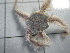  ( - SeaMP_SB189)  @11 [ ] Unspecified (default): All Rights Reserved (2022) Unspecified Unspecified
