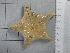  ( - SeaMP_SB219)  @11 [ ] Unspecified (default): All Rights Reserved (2022) Unspecified Unspecified