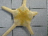  ( - SeaMP_SB230)  @11 [ ] Unspecified (default): All Rights Reserved (2022) Unspecified Unspecified