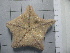  ( - SeaMP_SB279)  @11 [ ] Unspecified (default): All Rights Reserved (2023) Unspecified Unspecified