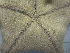  ( - SeaMP_SB279)  @11 [ ] Unspecified (default): All Rights Reserved (2023) Unspecified Unspecified
