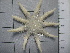  ( - SeaMP_SB280)  @11 [ ] Unspecified (default): All Rights Reserved (2023) Unspecified Unspecified