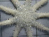  ( - SeaMP_SB280)  @11 [ ] Unspecified (default): All Rights Reserved (2023) Unspecified Unspecified