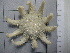  ( - SeaMP_SB282)  @11 [ ] Unspecified (default): All Rights Reserved (2023) Unspecified Unspecified