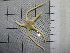  ( - SeaMP_SB287)  @11 [ ] Unspecified (default): All Rights Reserved (2023) Unspecified Unspecified