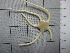  ( - SeaMP_SB289)  @11 [ ] Unspecified (default): All Rights Reserved (2023) Unspecified Unspecified
