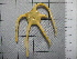 ( - SeaMP_SB290)  @11 [ ] Unspecified (default): All Rights Reserved (2023) Unspecified Unspecified