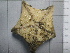  ( - SeaMP_SB308)  @11 [ ] Unspecified (default): All Rights Reserved (2023) Unspecified Unspecified