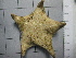  ( - SeaMP_SB309)  @11 [ ] Unspecified (default): All Rights Reserved (2023) Unspecified Unspecified