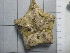  ( - SeaMP_SB309)  @11 [ ] Unspecified (default): All Rights Reserved (2023) Unspecified Unspecified