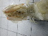  ( - SeaMP_SB333)  @11 [ ] Unspecified (default): All Rights Reserved (2023) Unspecified Unspecified