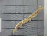  ( - SeaMP_SB039)  @11 [ ] Unspecified (default): All Rights Reserved (2022) Unspecified Unspecified