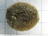  ( - SeaMP_SB405)  @11 [ ] Unspecified (default): All Rights Reserved (2023) Unspecified Unspecified